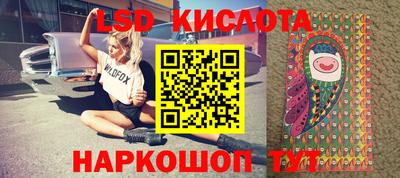 крисы Пенза