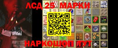 крисы Пенза