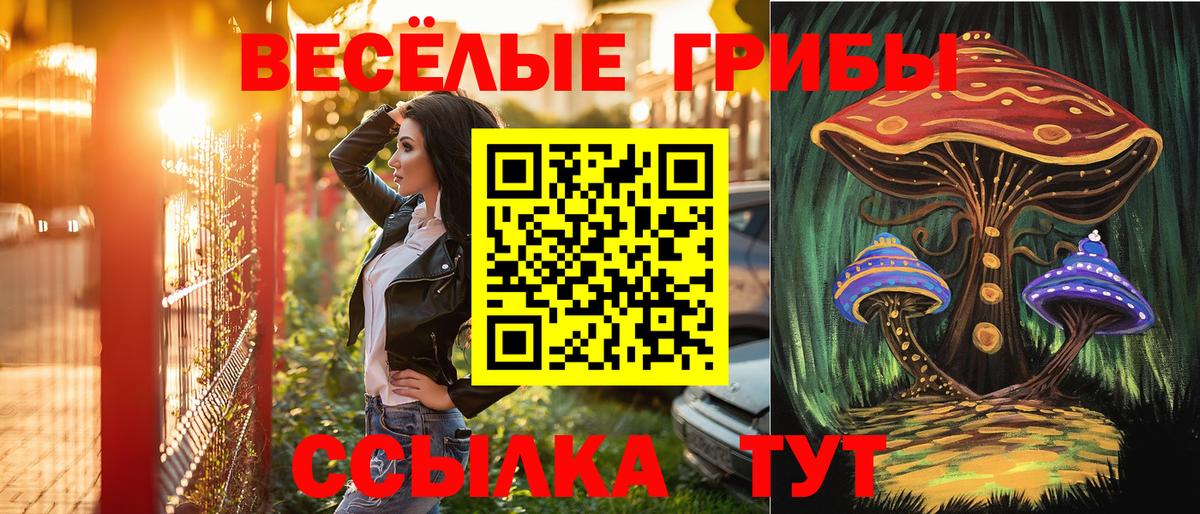Галлюциногенные грибы Cubensis Тольятти