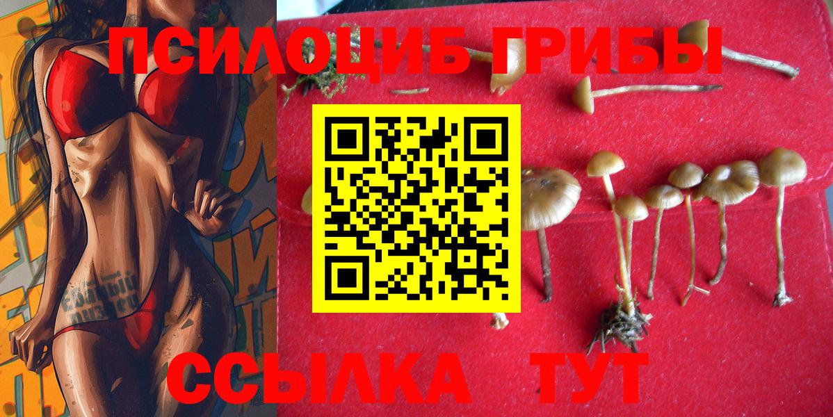 МЕФ Тольятти